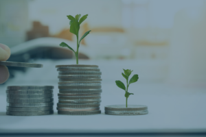 Finance durable : transition écologique et secteur bancaire