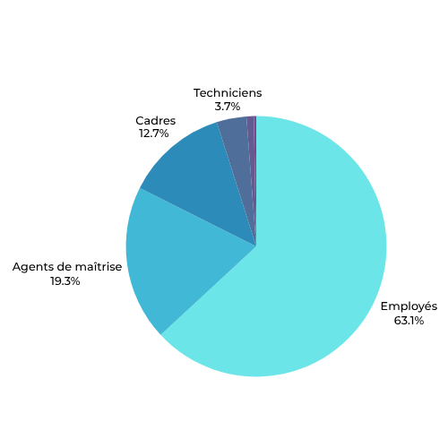 diagramme Profils recherchés pour un comptable